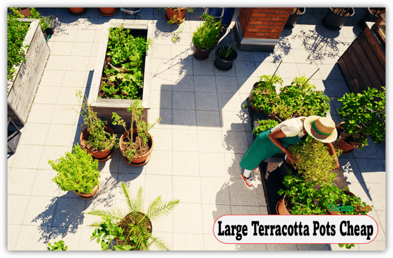 Large Terracotta Pots Cheap