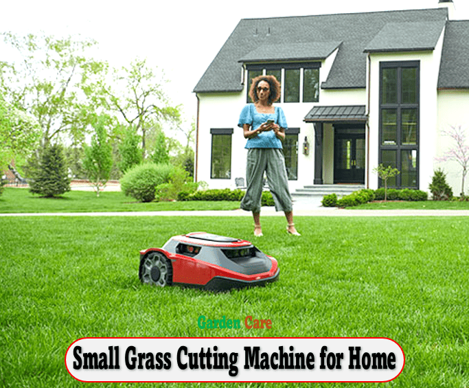 Small Grass Cutting Machine for Home
