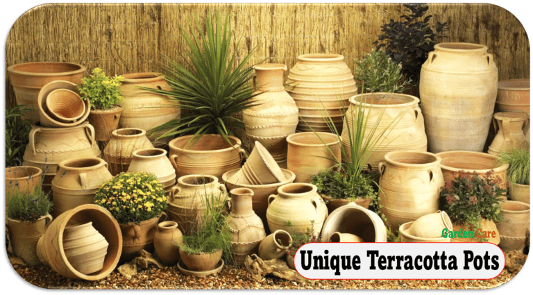 Unique Terracotta Pots