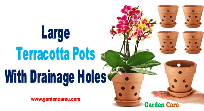 Large Terracotta Pots With Drainage Holes