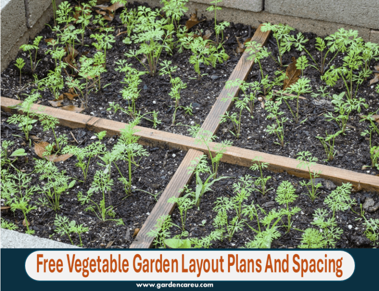 Free Vegetable Garden Layout Plans And Spacing
