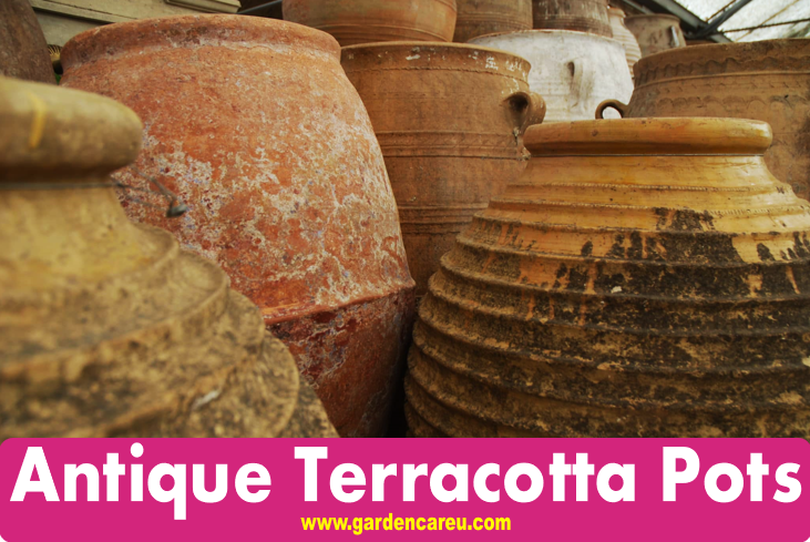 Antique terracotta pots