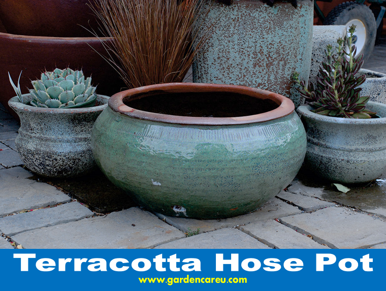 Terracotta Hose Pot